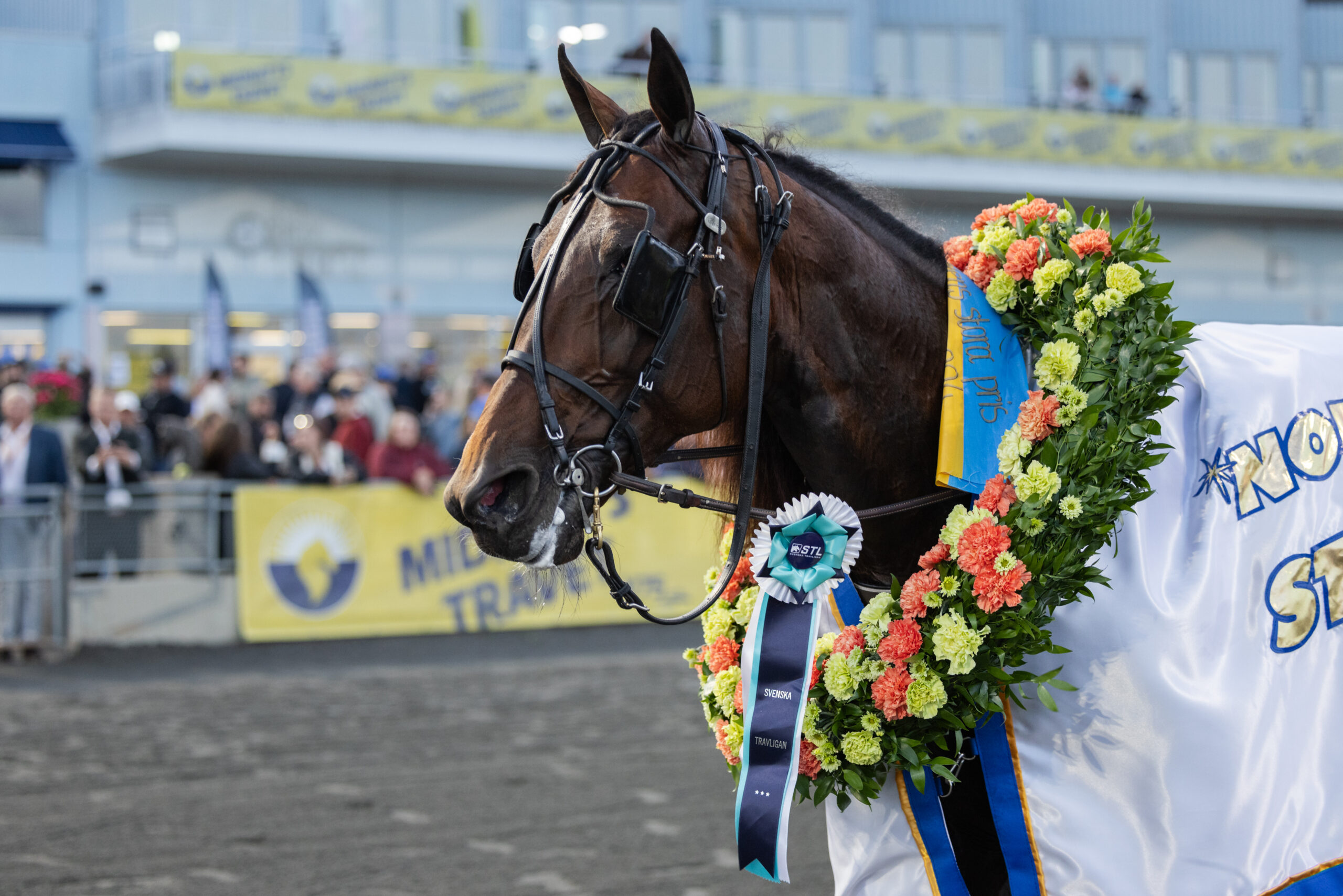 Bild “Francesco Zet till Lindesberg och Bergslagsloppet”