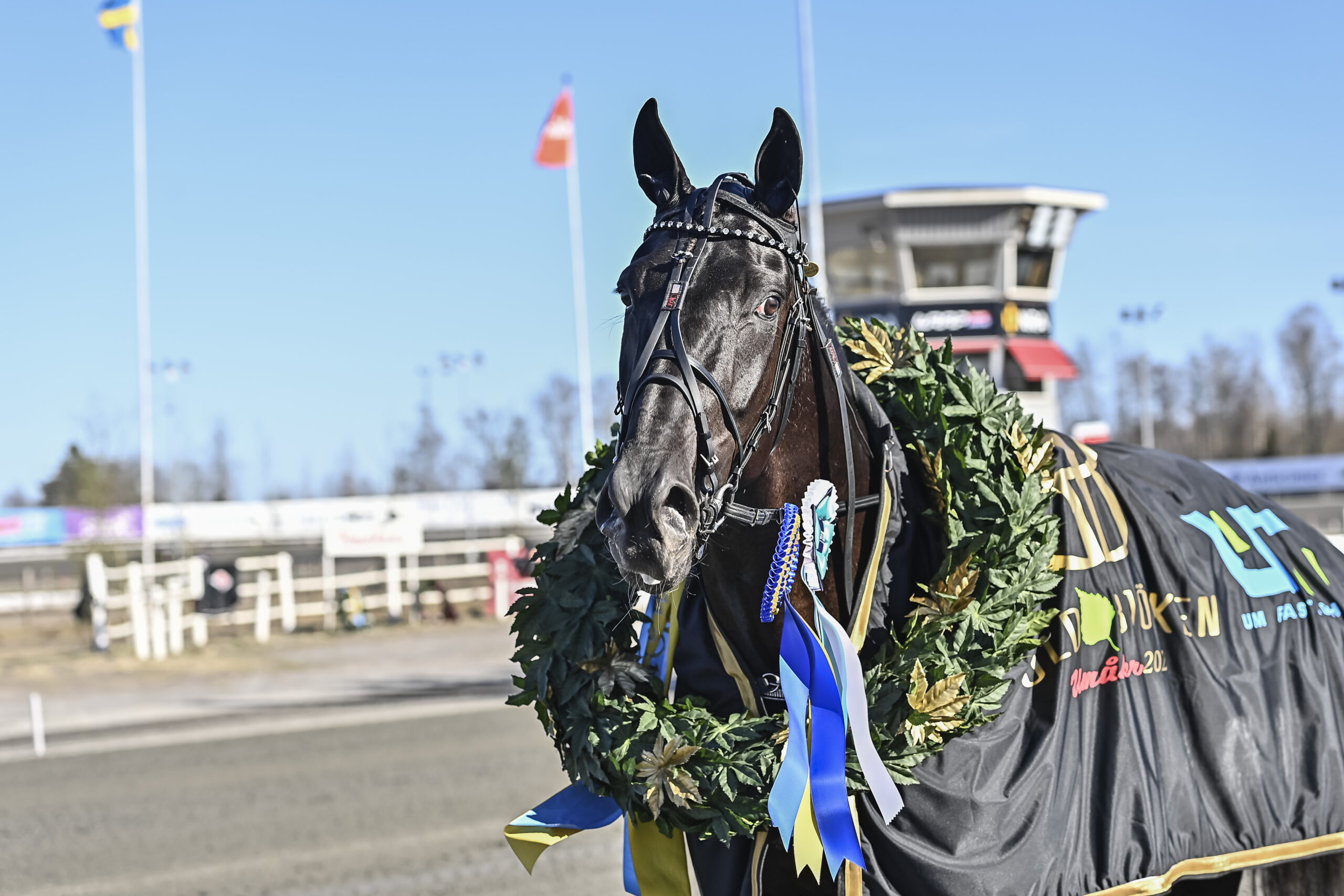 Bild “Hugo Åbergs Memorial nästa för Borups Victory”