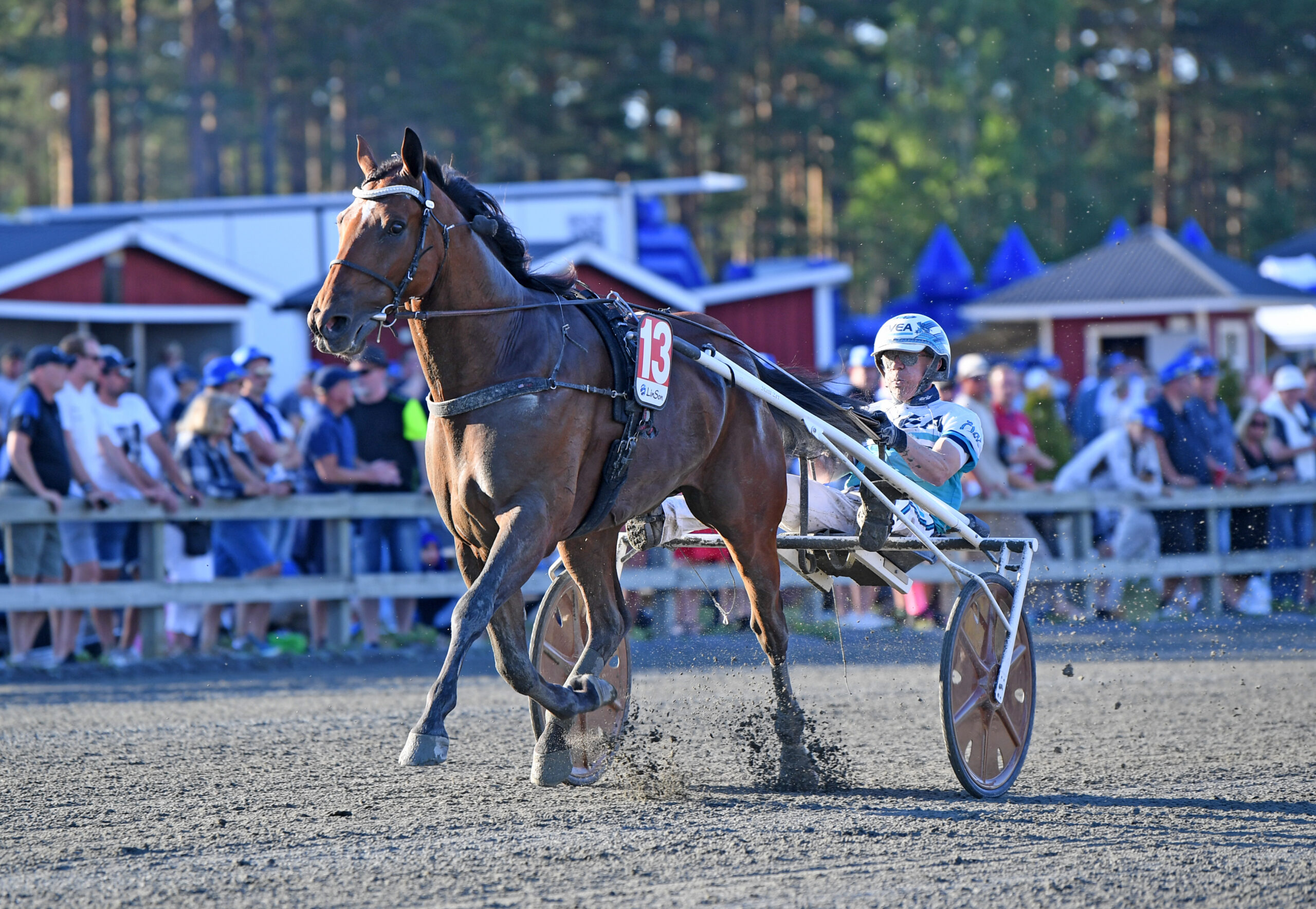 Bild “Åby World Grand Prix fylldes på med två nya hästar”