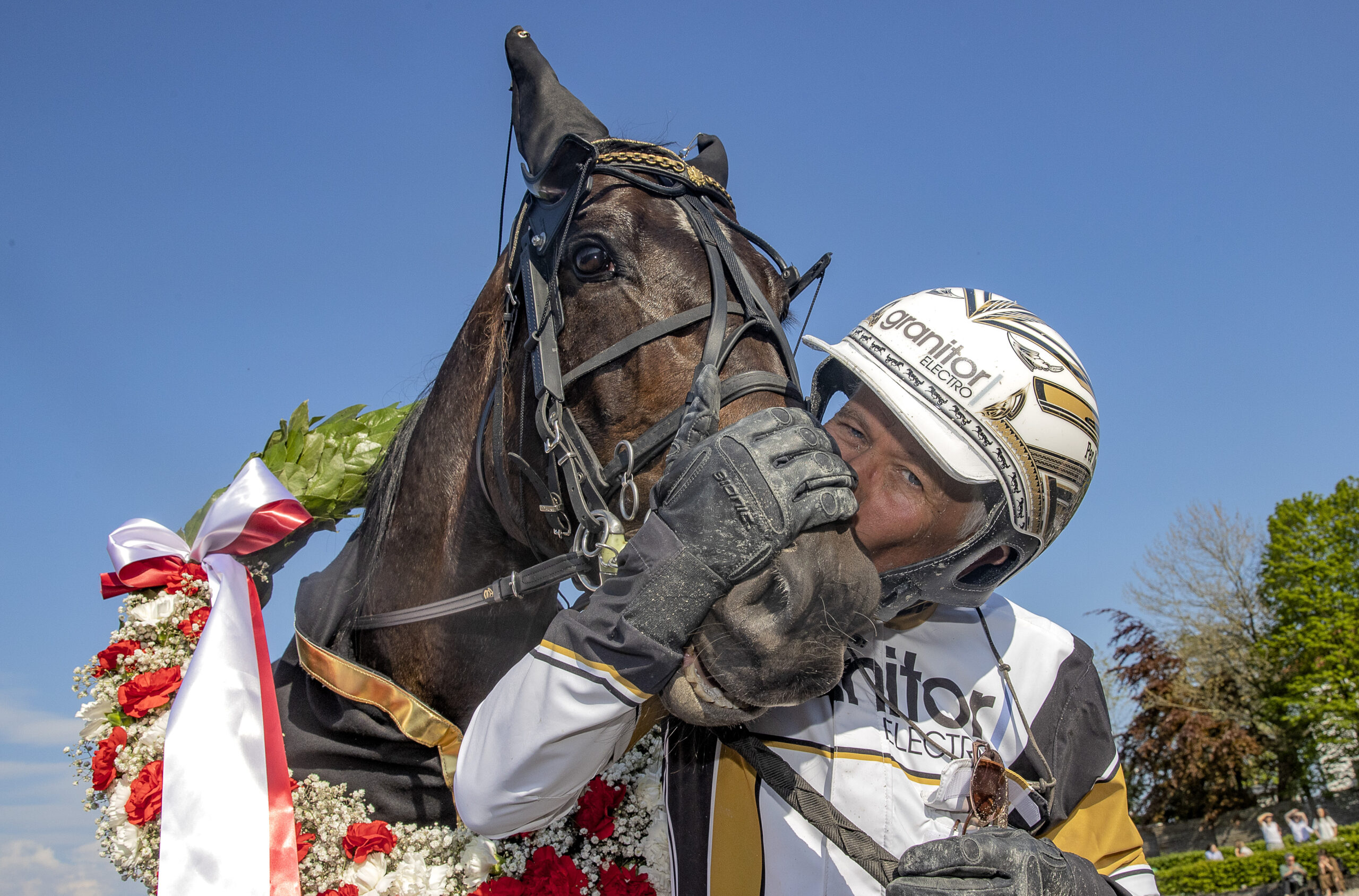 Bild “Inför V75® (söndag): Efter Elitloppet: Önas Prince tar nya tag i Norge”