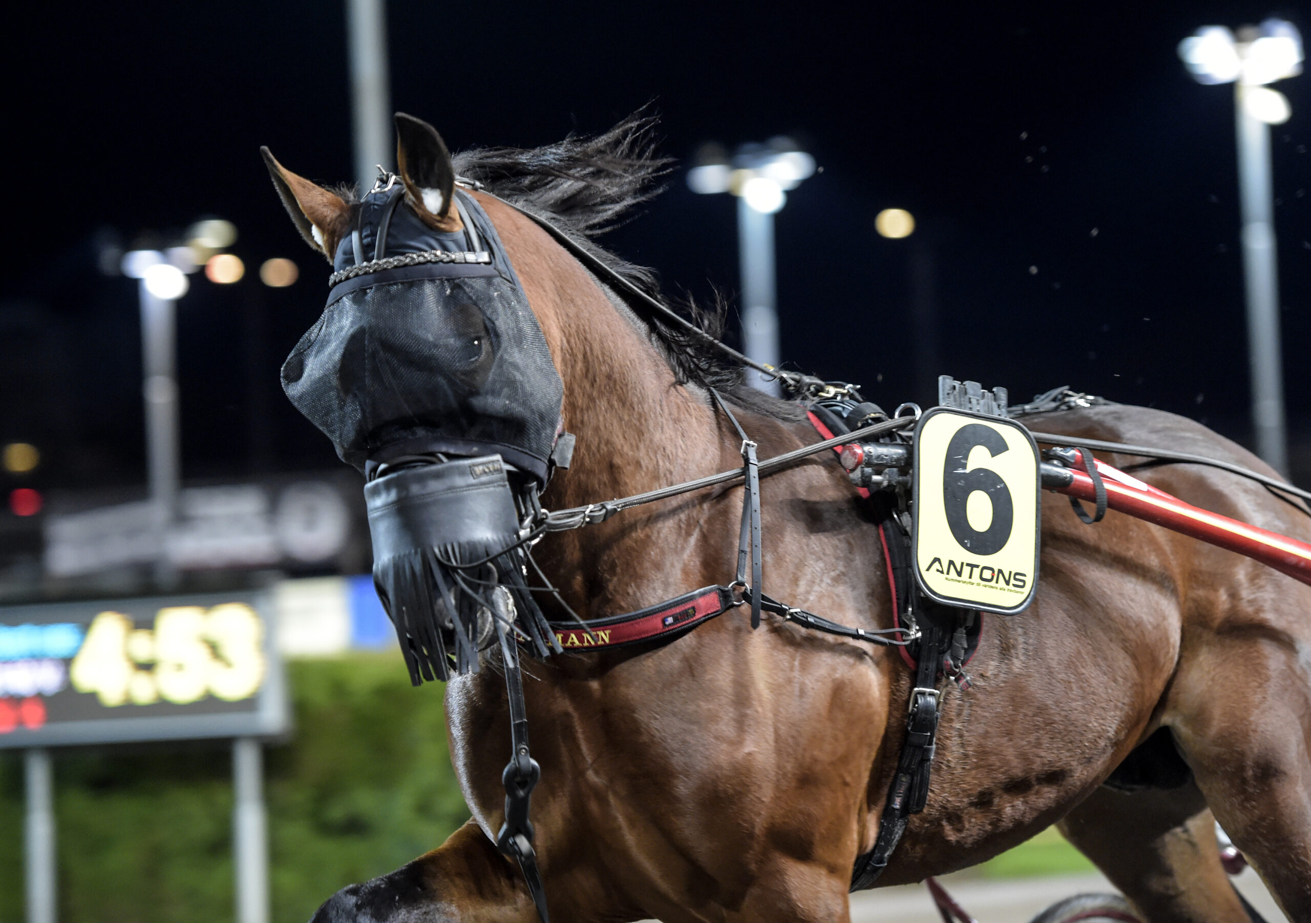 Bild “Inför V75® (onsdag): Spårvinnare i Margareta Wallenius-Klebergs Pokal”