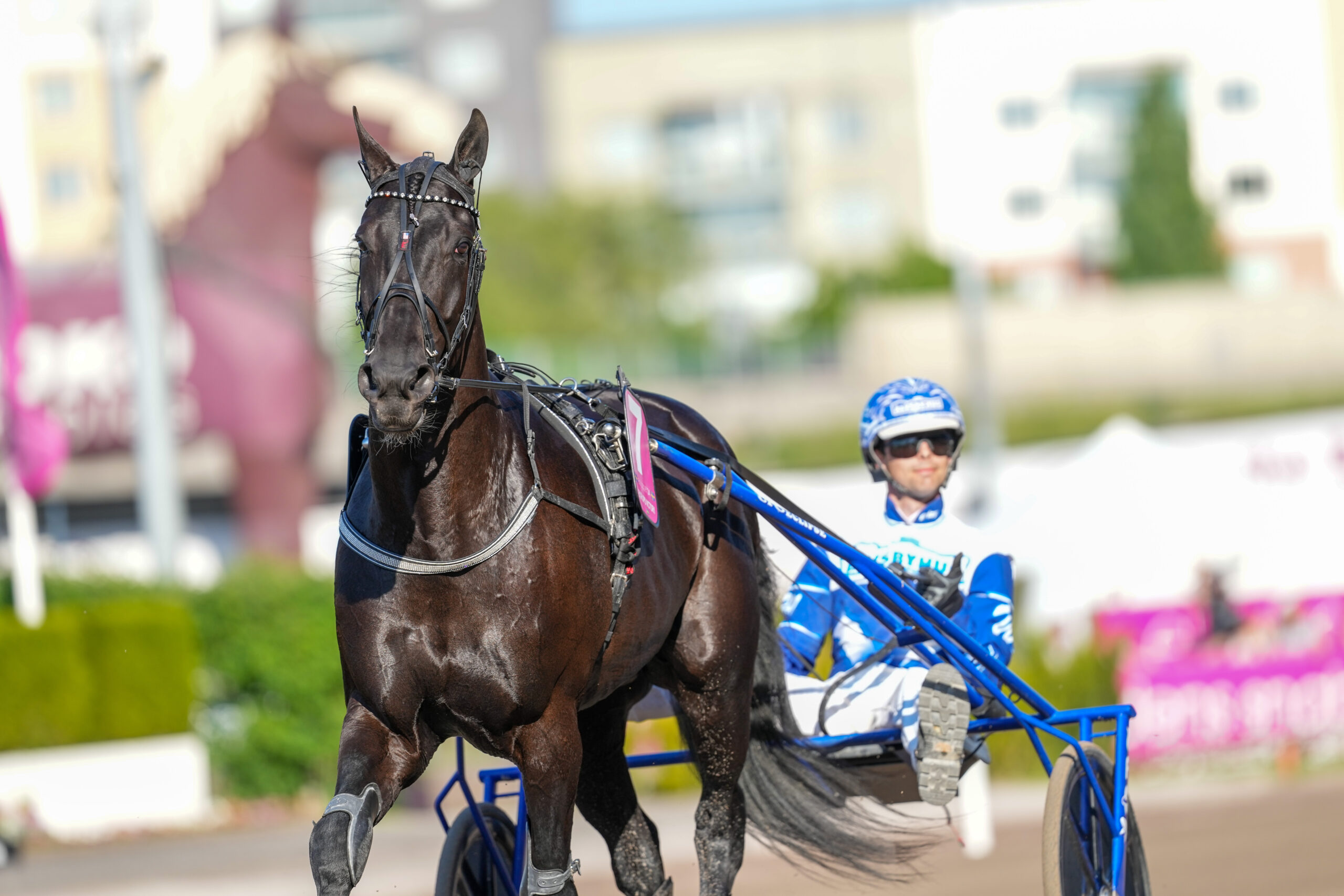 Bild “Drömmöte med drömjackpot i Sundsvall Open Trot”