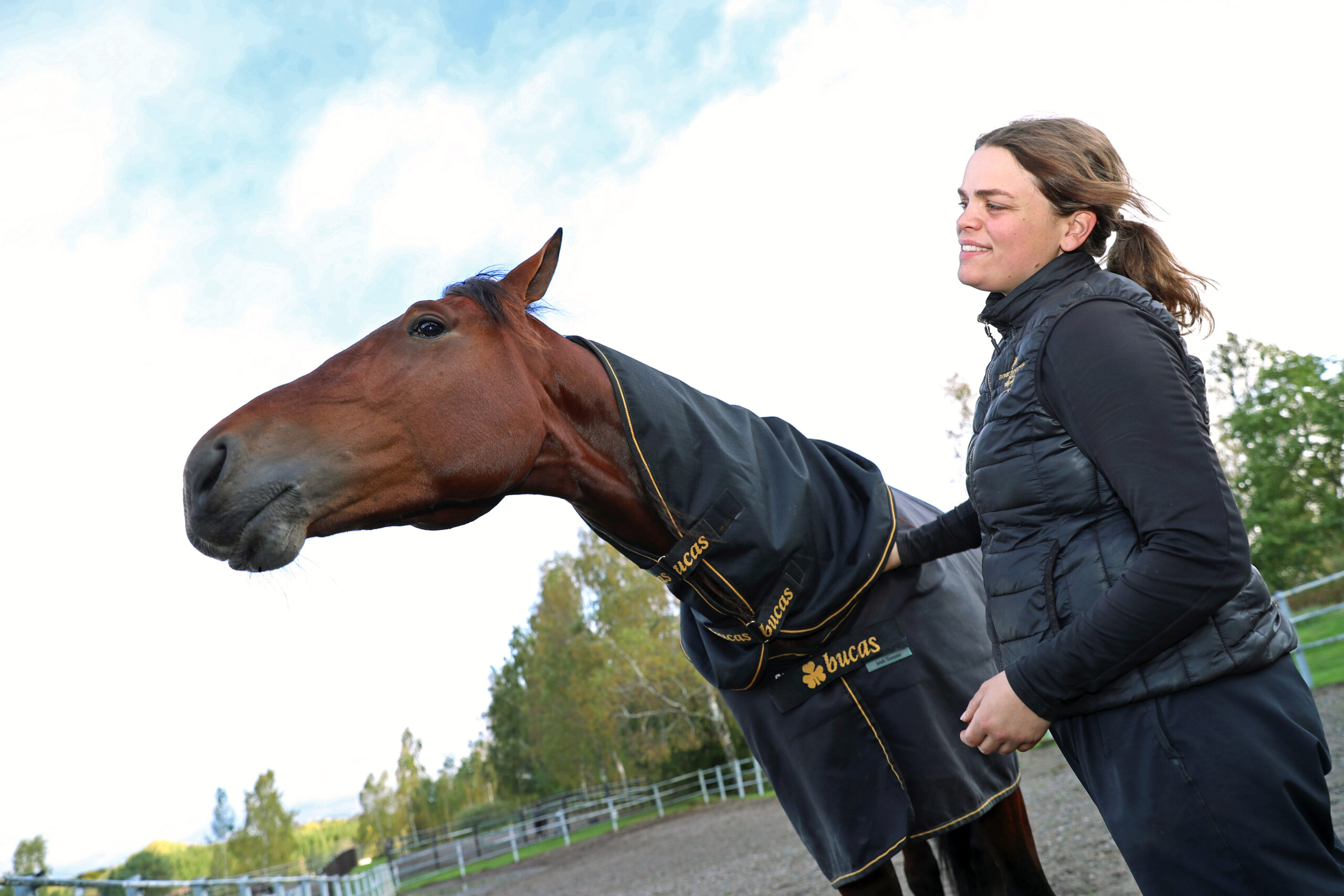 Bild “Inför V75® (söndag): Livet med den egensinnige derbyfavoriten”