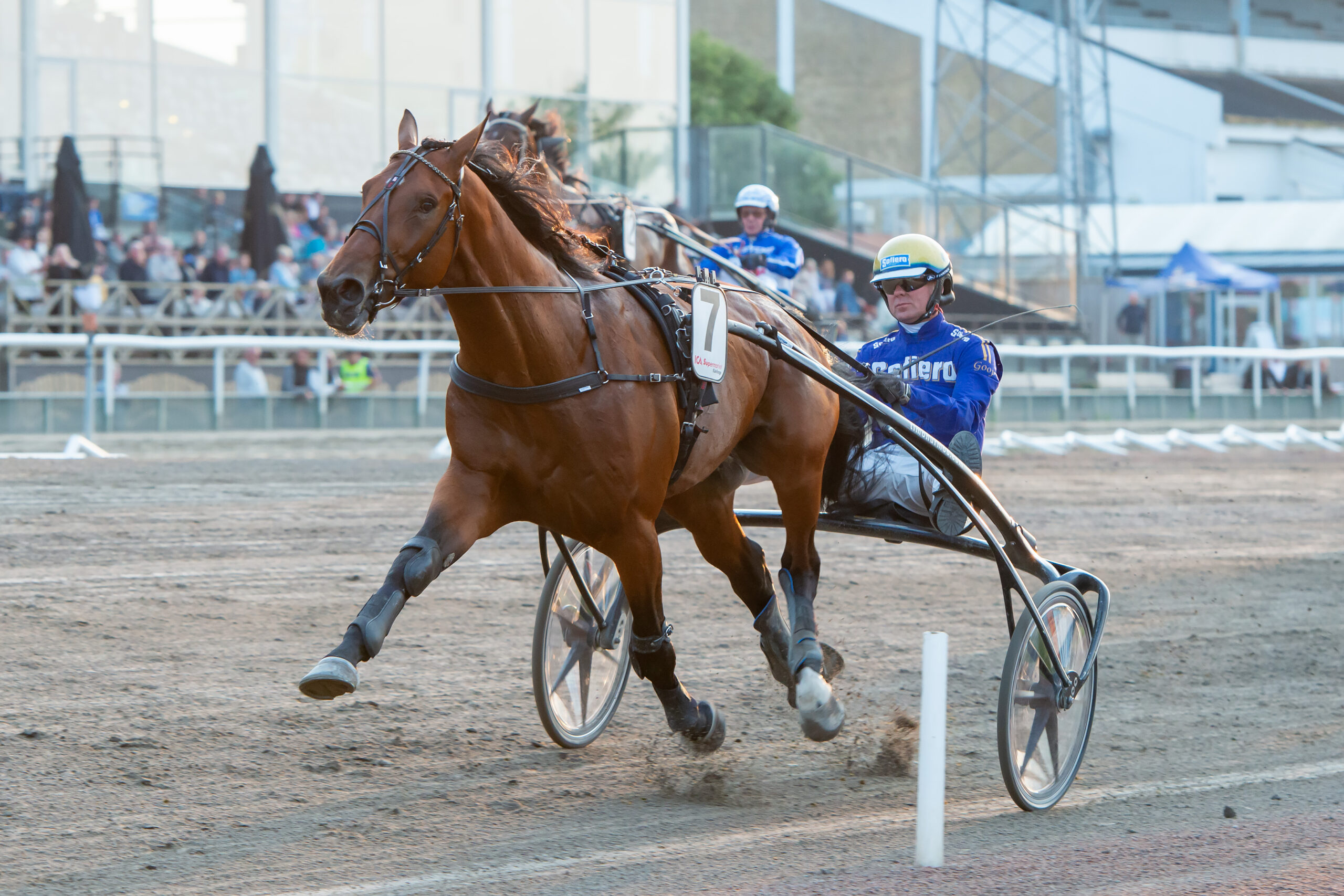 Bild “V75®: Favoriterna övertygade i derbykvalen”