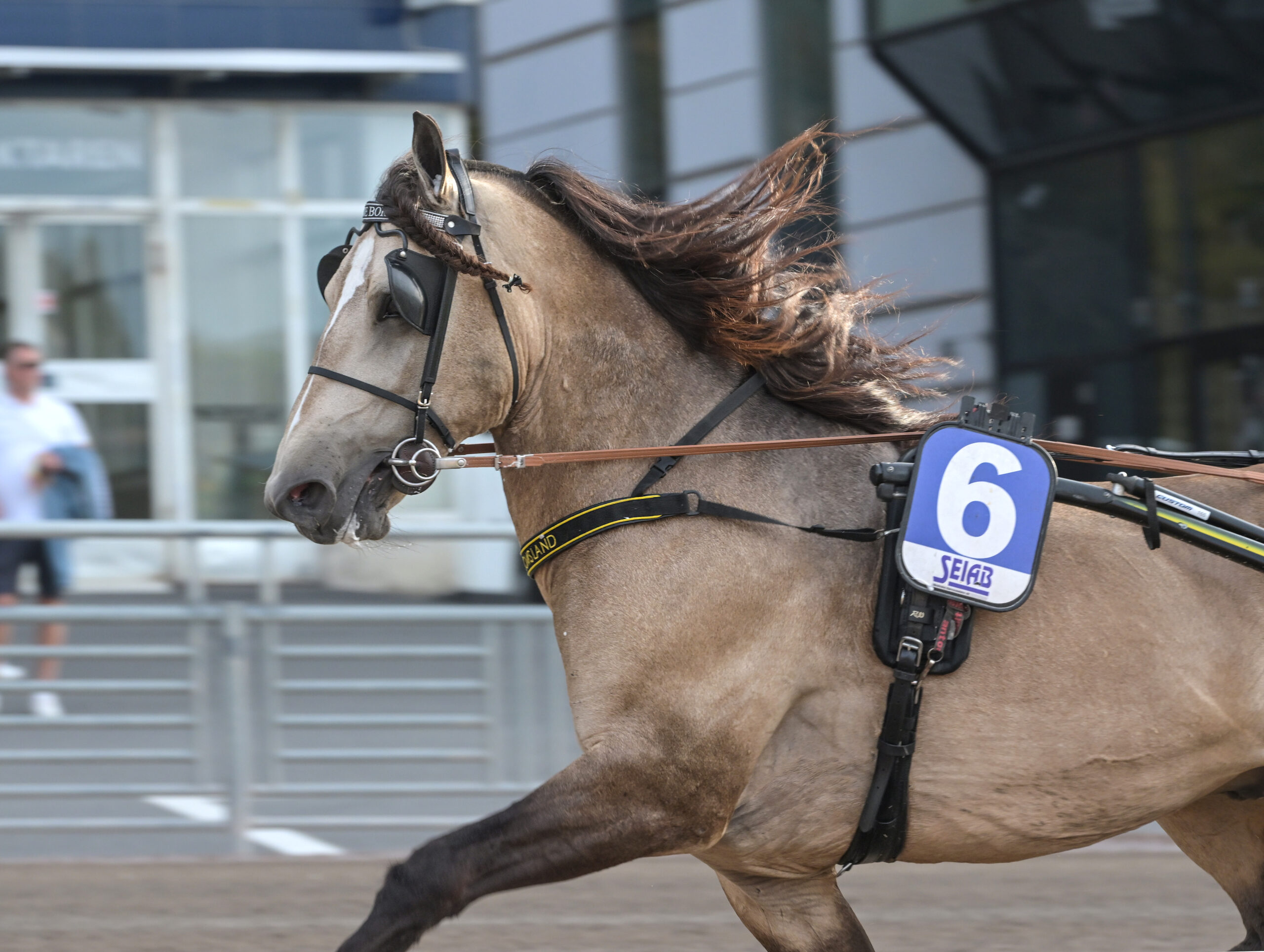 Inför V75®: ”Det är som att köra en racerbil”