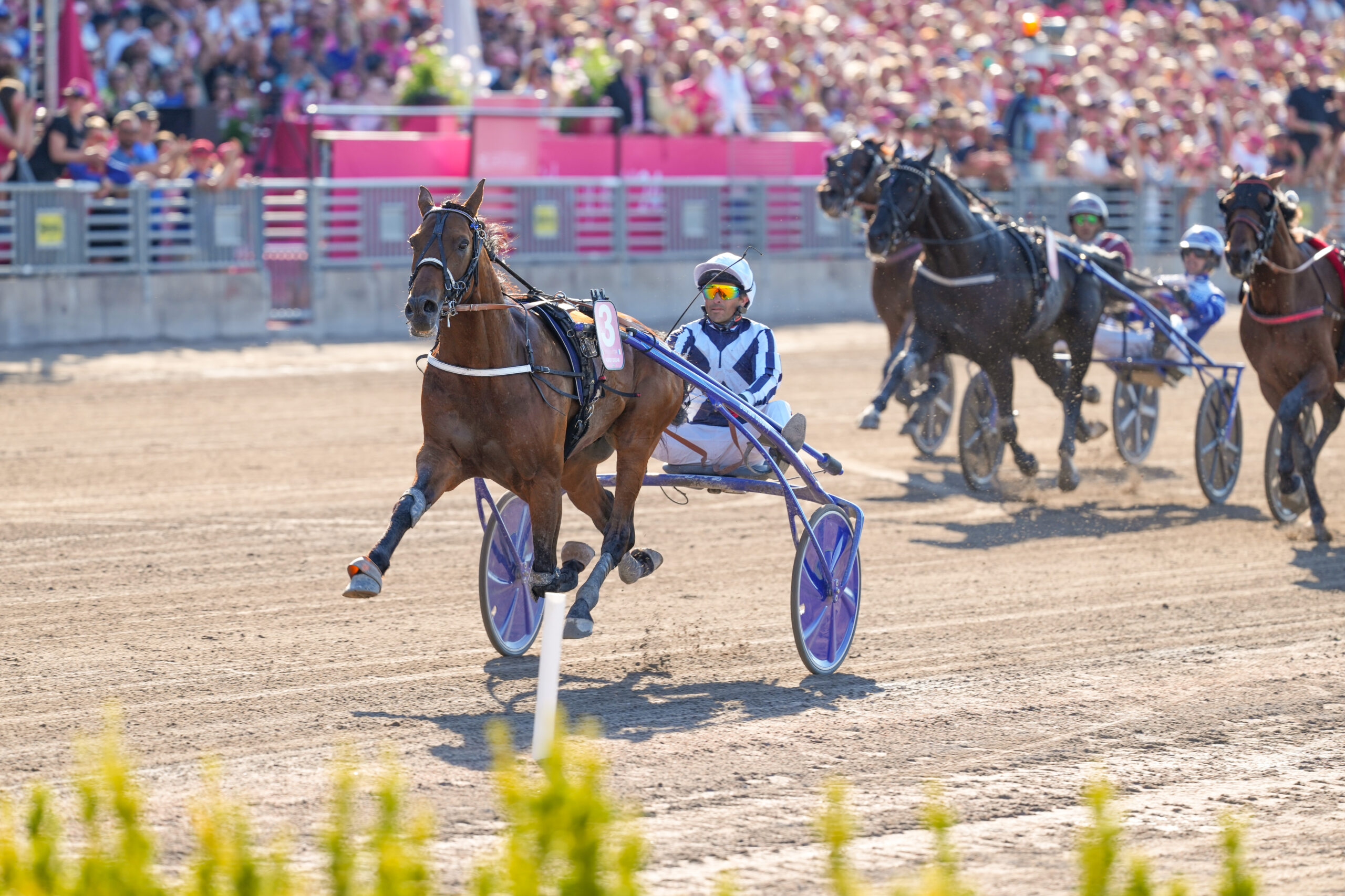 Bild “Horsy Dream får avstå Prix d’Amerique?”