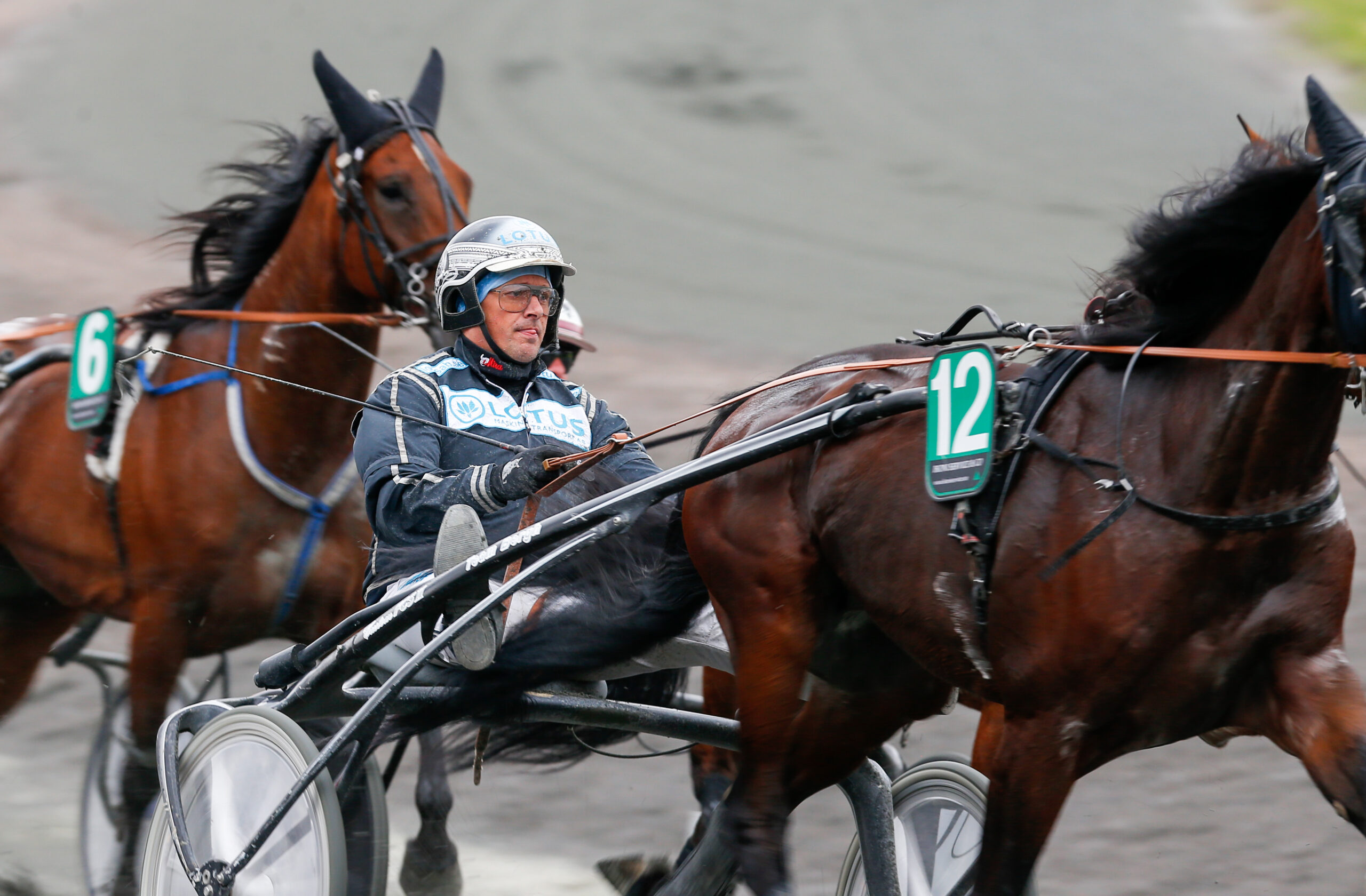 Inför V86® (dubbeljackpot): Bergh laddar med tre i styrkeprovet