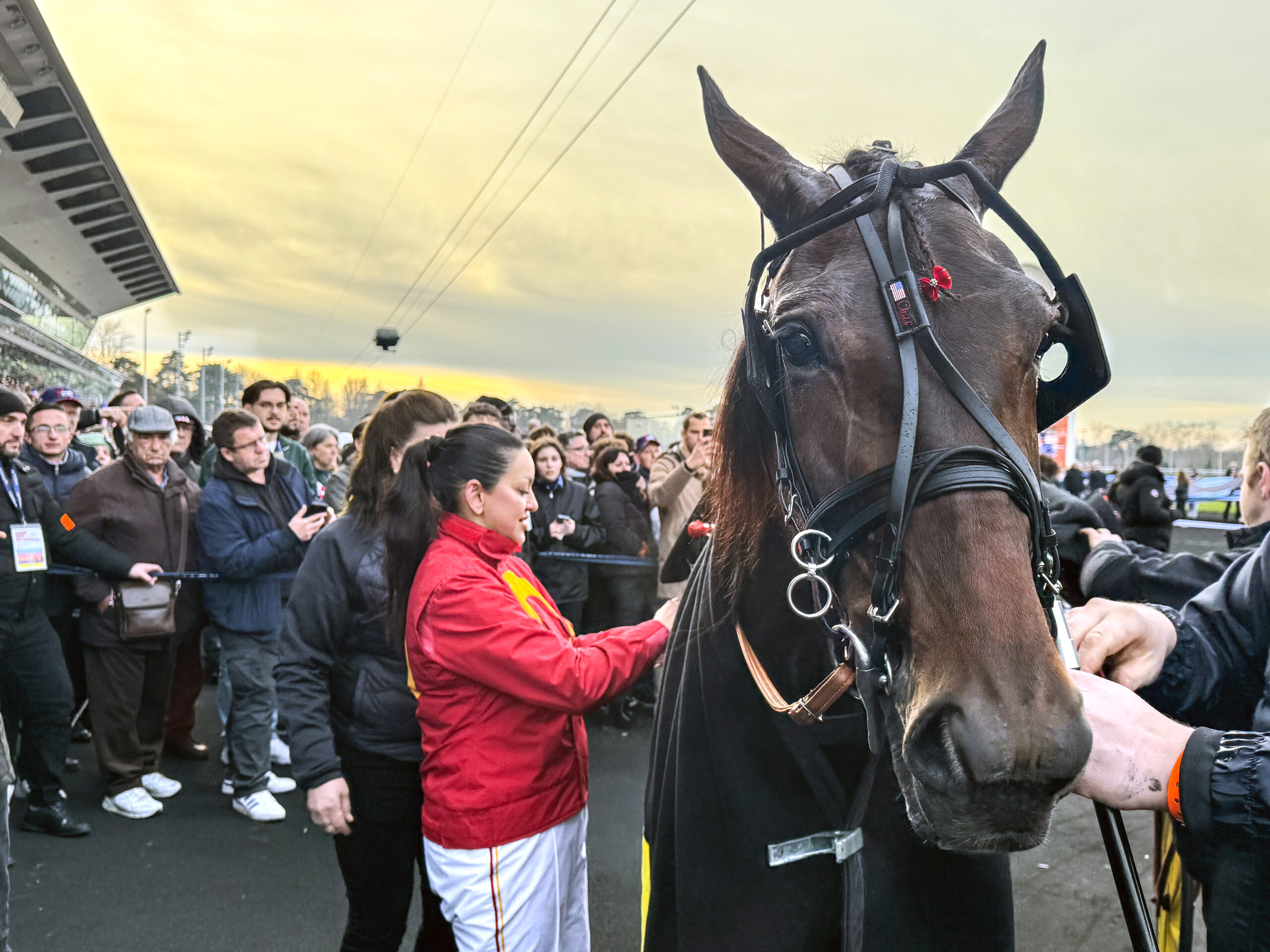 Joviality i comeback – tillbaka på Vincennes