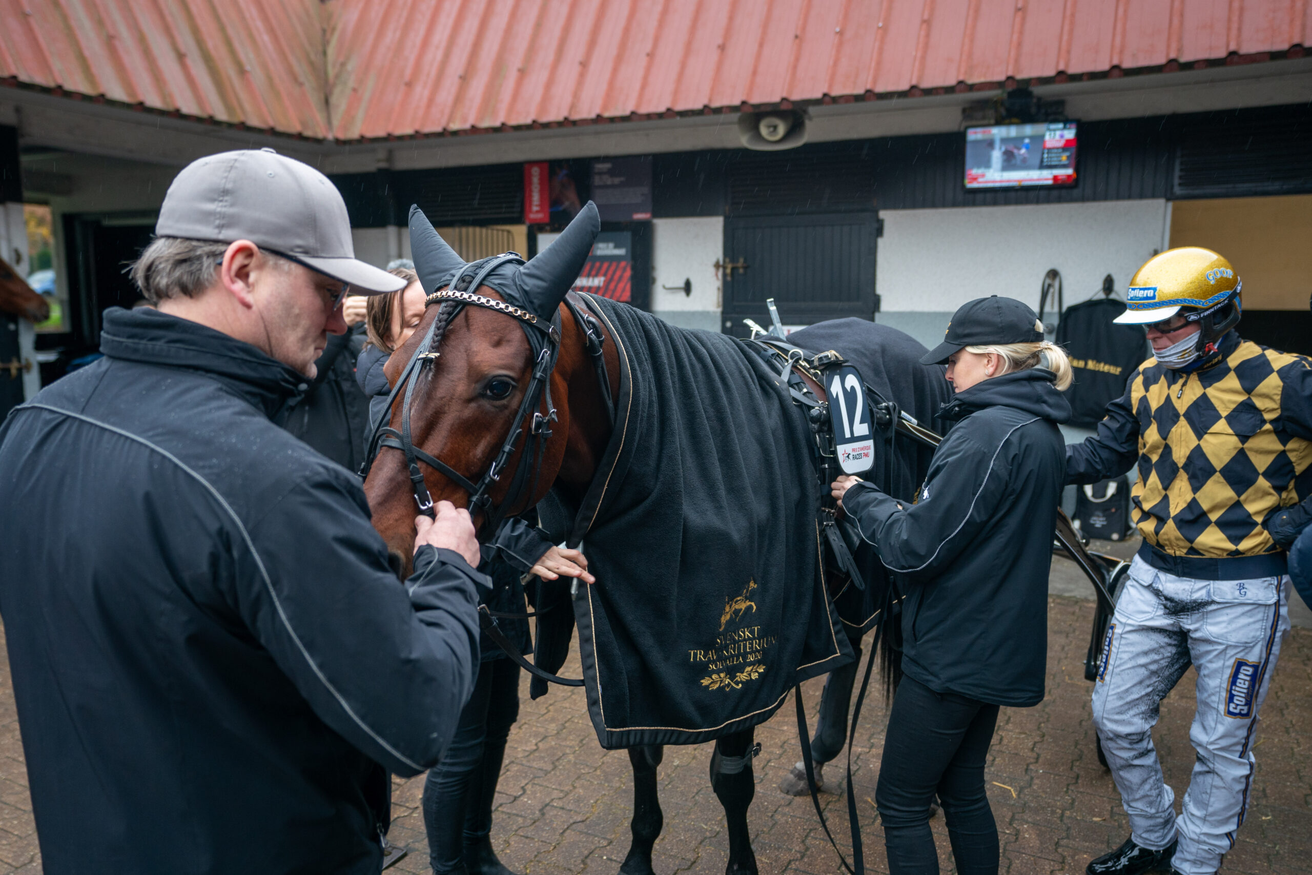 Bild “Svenskar jagar biljett till Prix d Amérique”