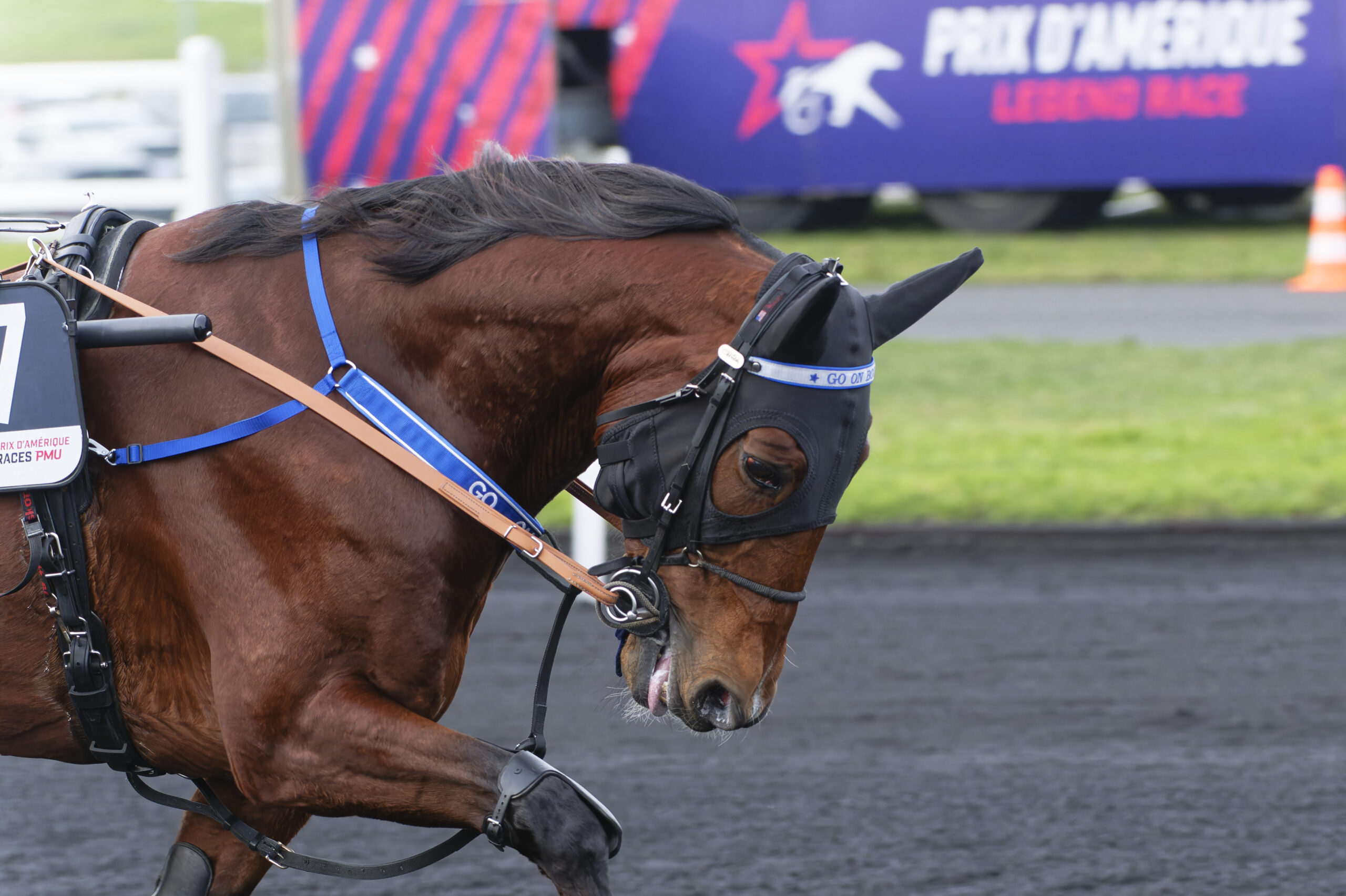 Ingen går säker för Go On Boy i Prix d’Amerique