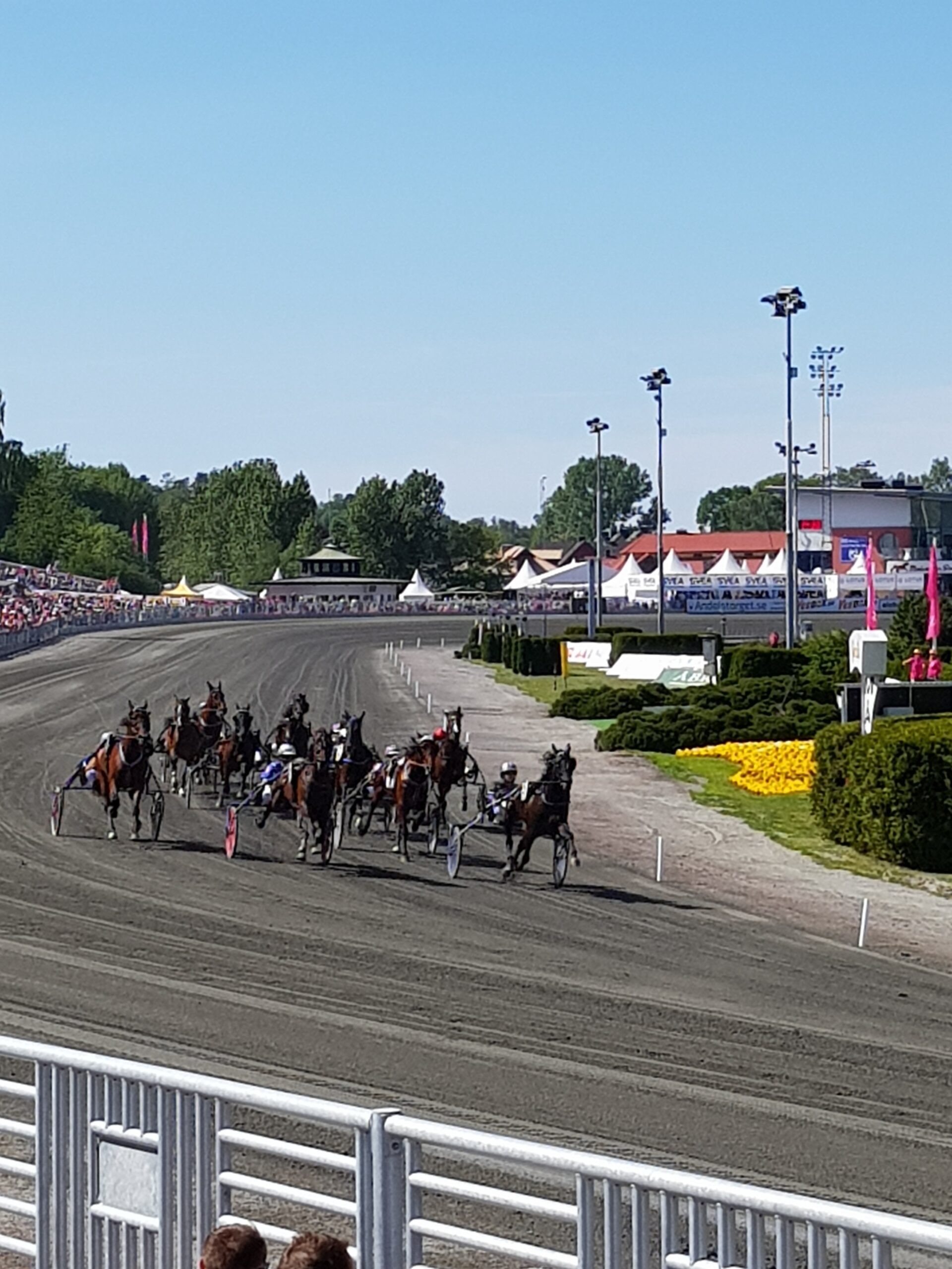Uppdaterade odds till Elitloppet