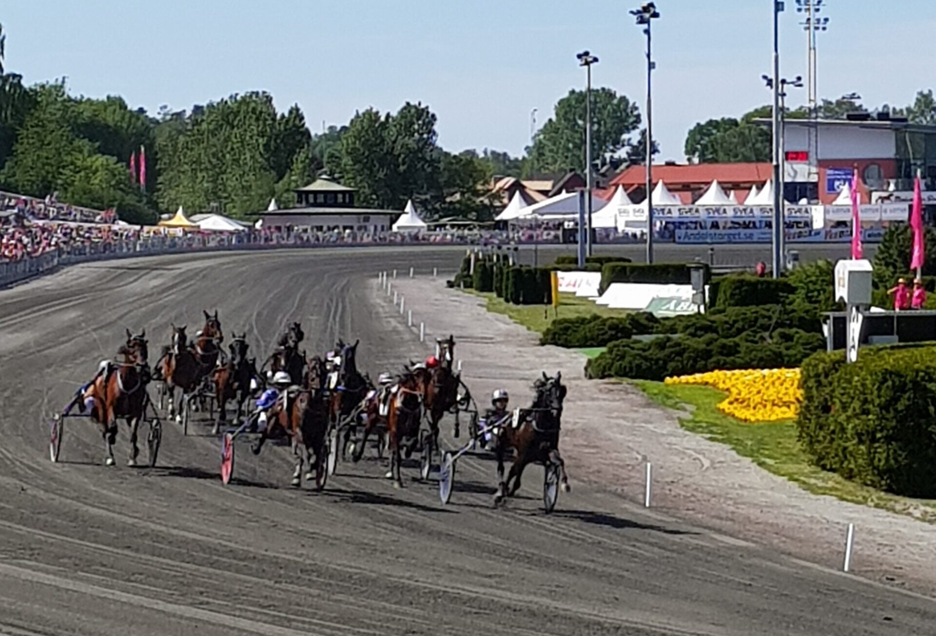 V86 tips och rank 7 maj