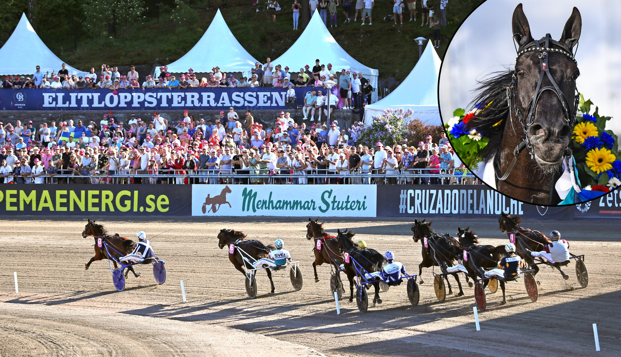 Inför Elitloppet (V75®): Borups Victory elitloppshet – spänd förväntan i ägarleden