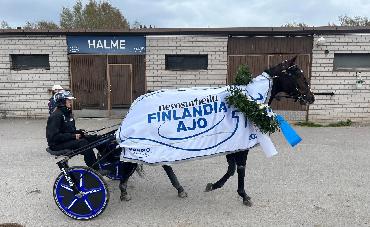 Vilken helg för Wäjersten – Mellby Jinx spurtade hem Finlandia-Ajo