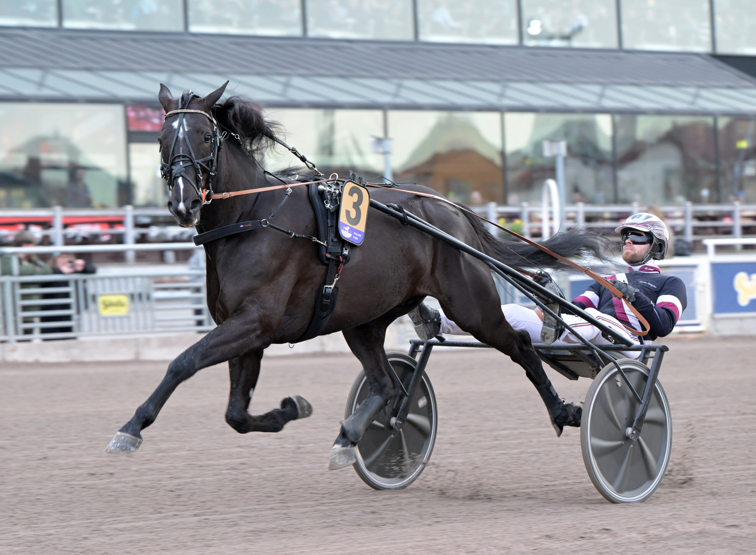 V75® statistik: En titt på tider