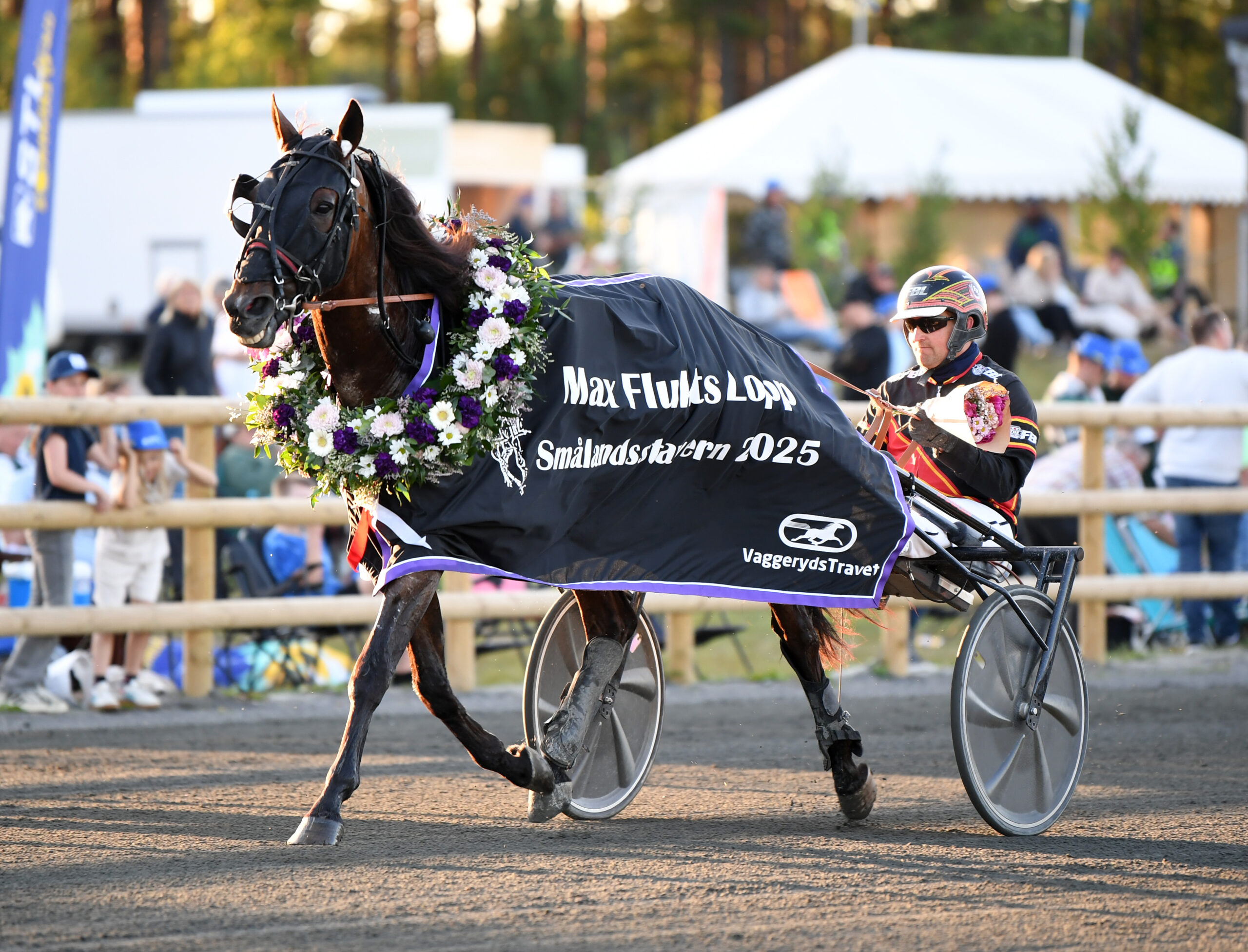 V86®: Matiere starkast i Smålandsstayern