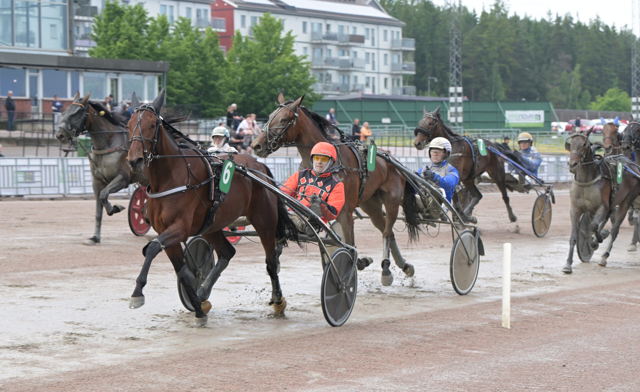 V64®: Stor E3-succé för Fredrik Wallin – fick sex hästar med till final