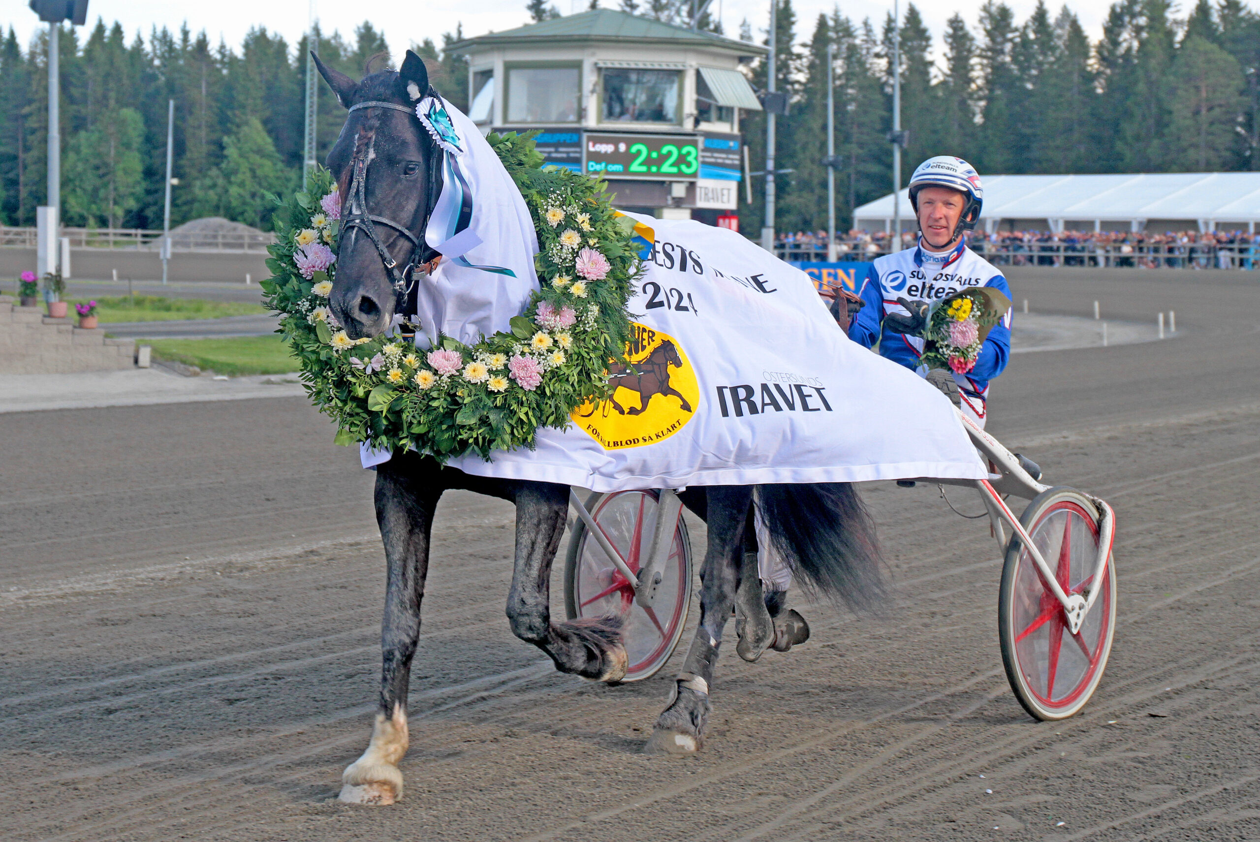Inför V75®: Ulvsåsen åter en vinnare i comebacken