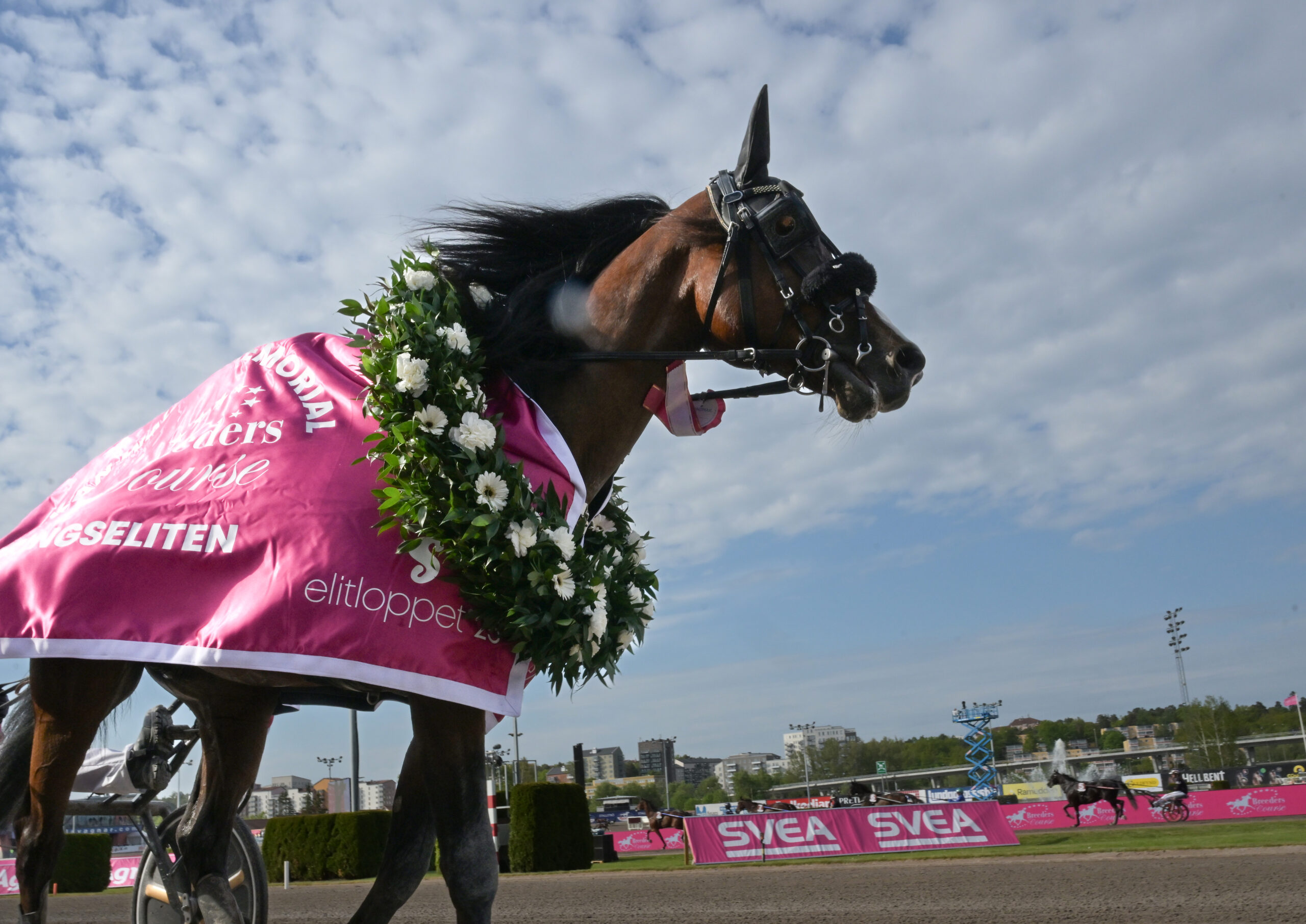 Inför V75®: Världsrekordhållaren favorit i E3-finalen