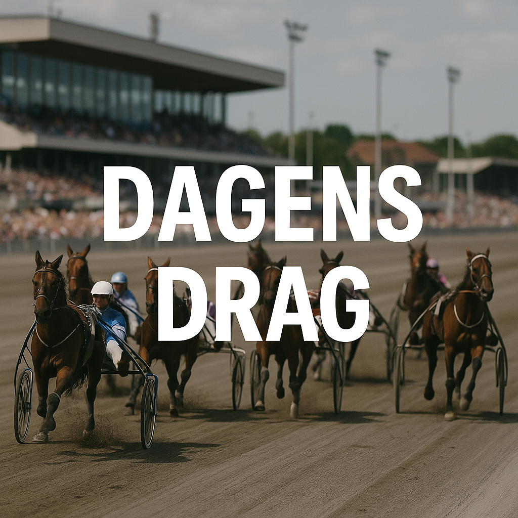 Dagens drag