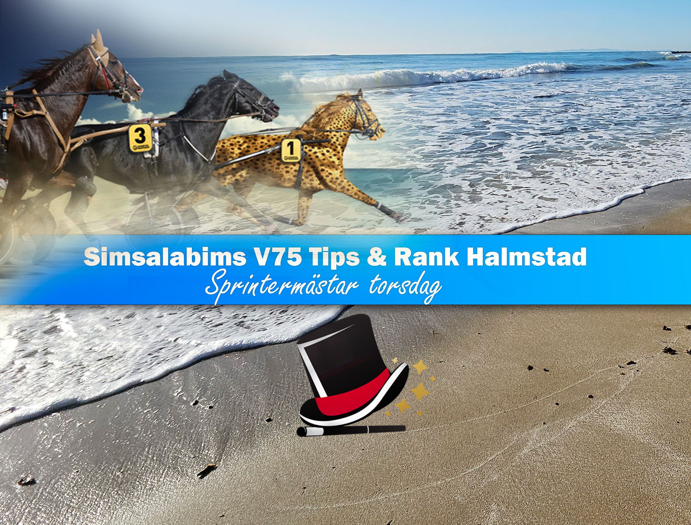 V75 tips och rank Halmstad Sprintermästaren 2025