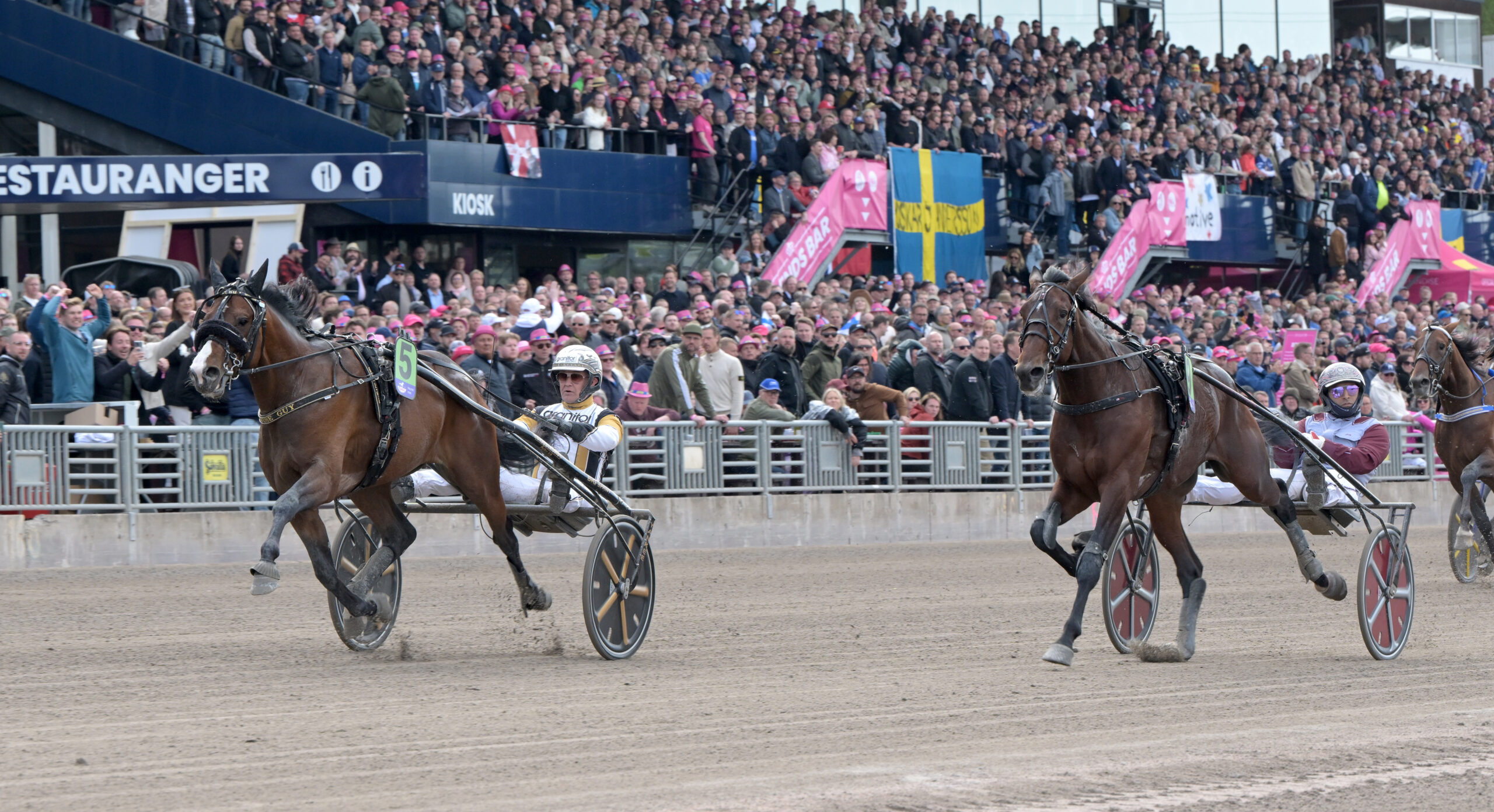 Nordströms stjärna i duell – 11,5 miljoner kronor i potten