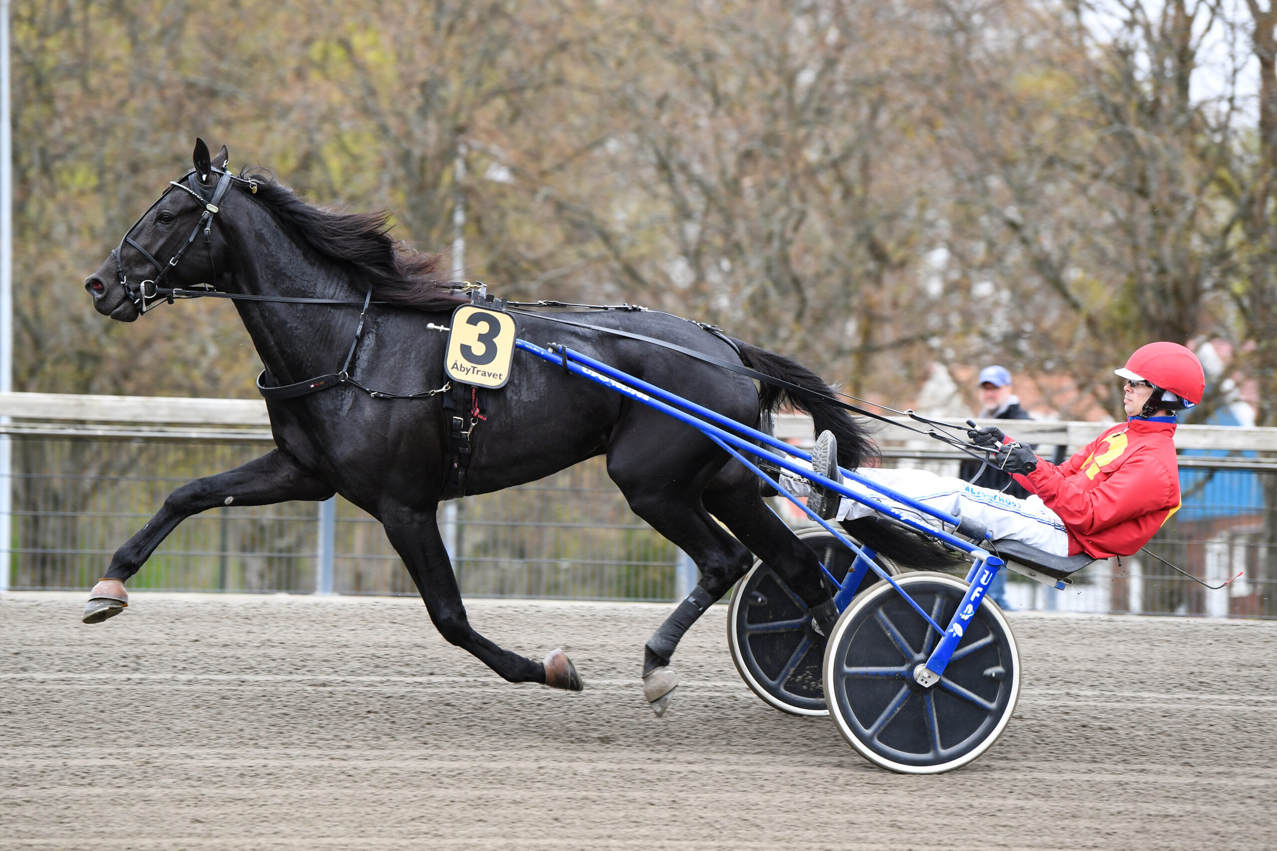 Bild “Inför V86® (jackpot): Utmanar storfavoriten i Fyraåringsstjärnan”