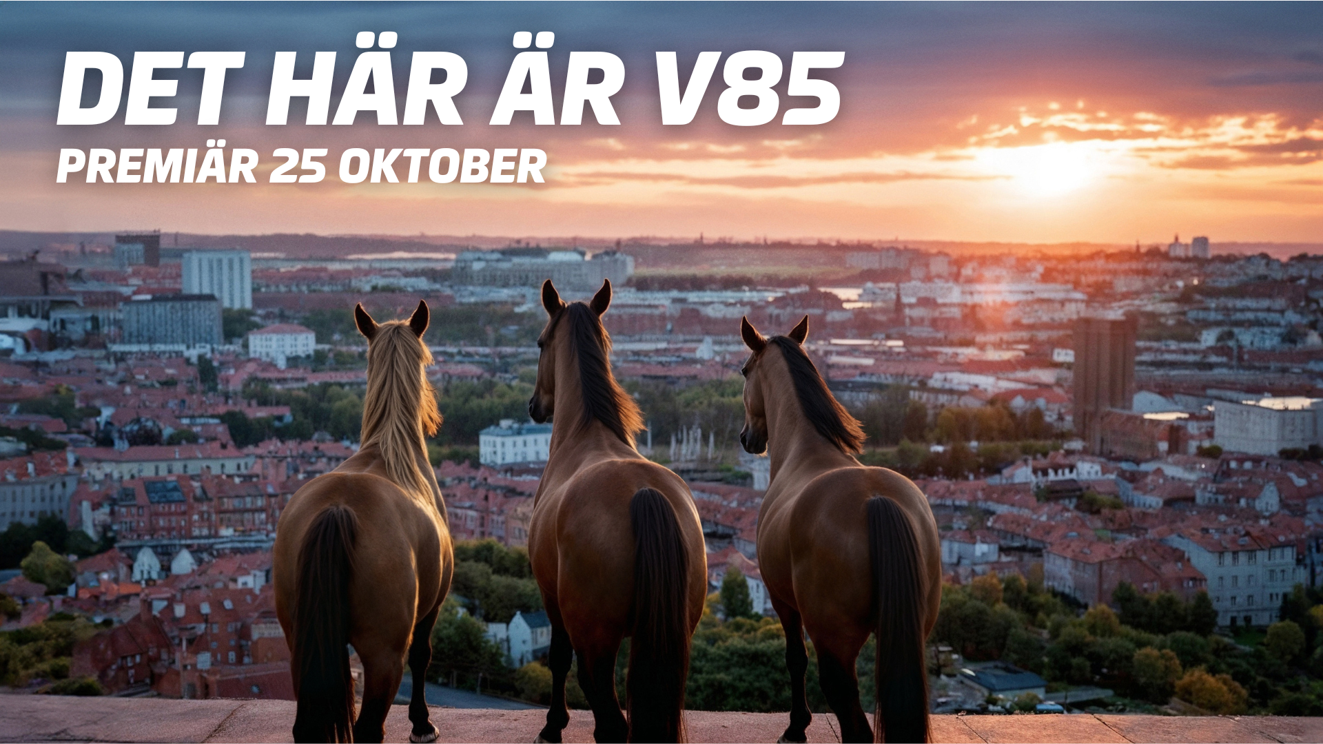 V85 – PremiĂ€r 25 oktober, med jackpot ?!