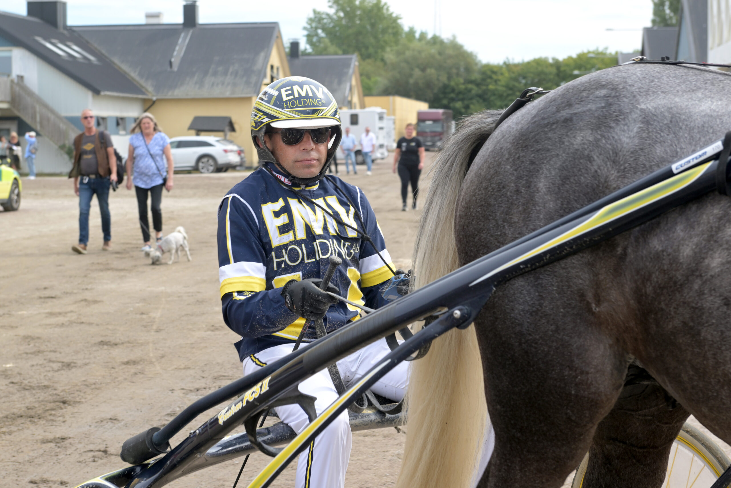 Inför V86®: Waldmüllers fyraåringar ska passas