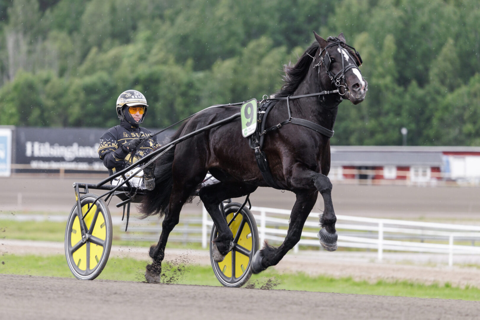 Bild “Inför V86® (torsdag): Inleder ny segersvit?”