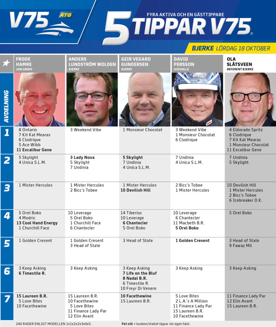 5 Tippar V75 till Bjerke