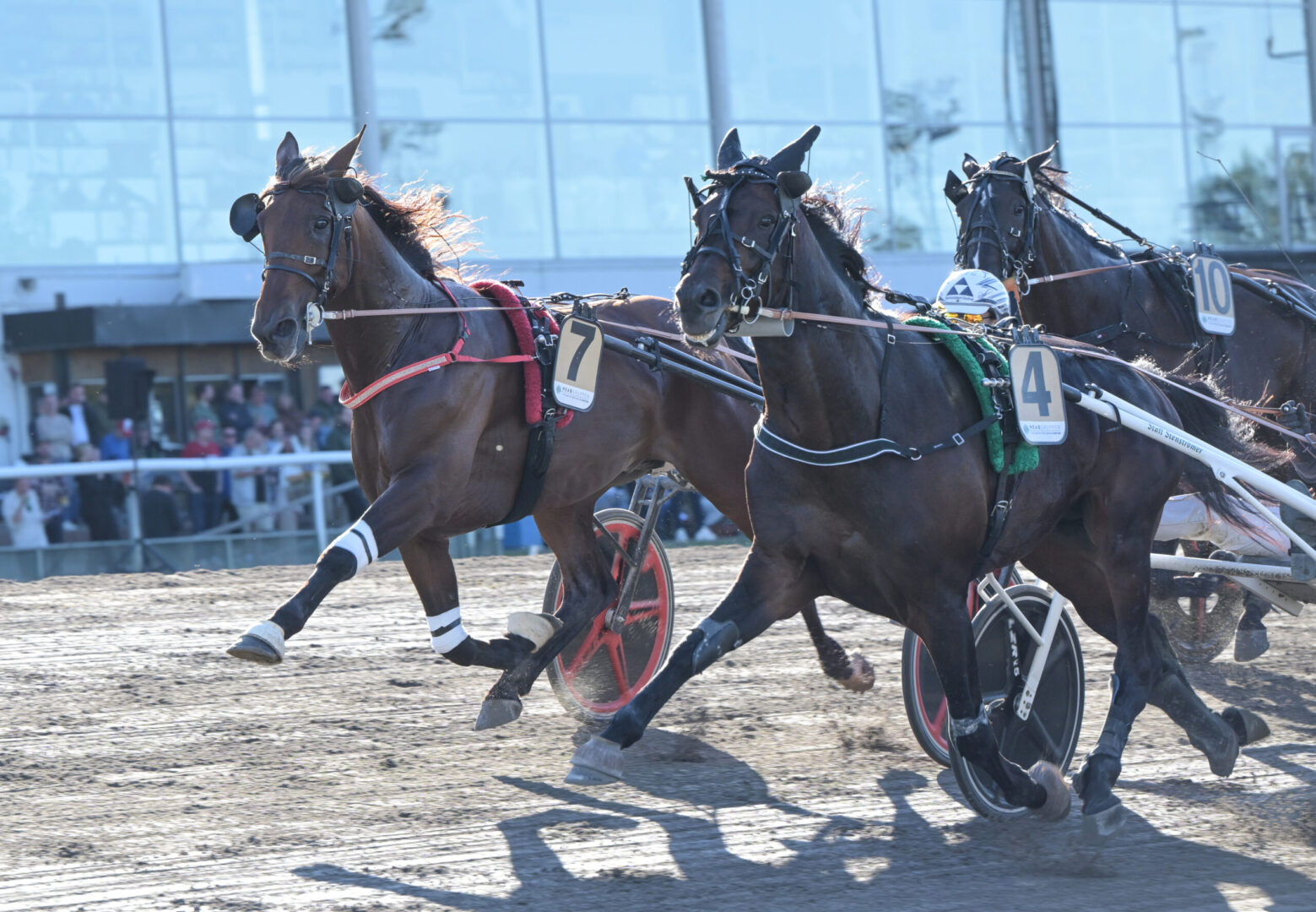 Bild “Inför V85® (jackpot): ”Tror han kommer kliva upp i högsta klassen i år””