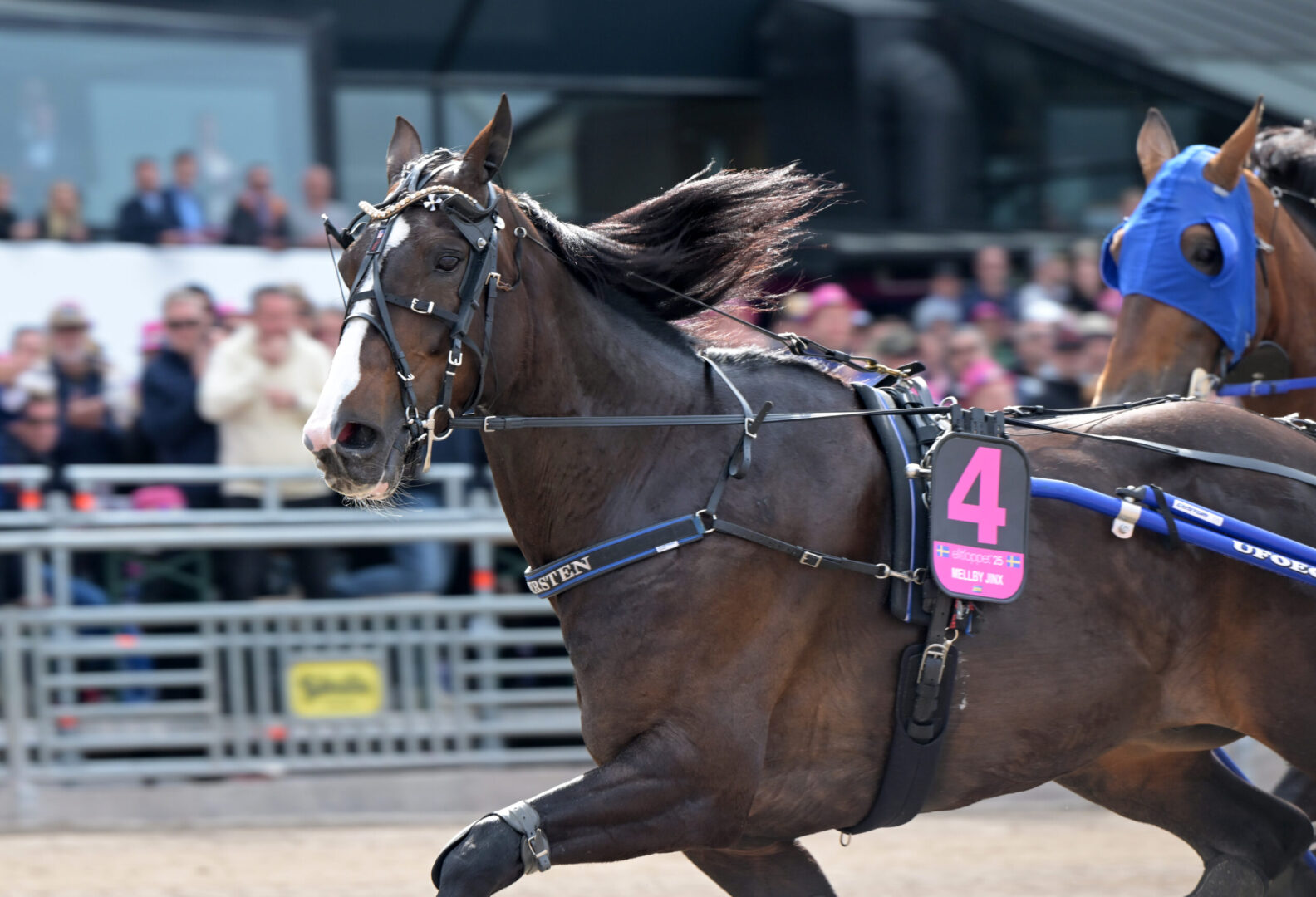 Bild “Inför V85® (jackpot): Inleder storloppssäsongen i Oslo”