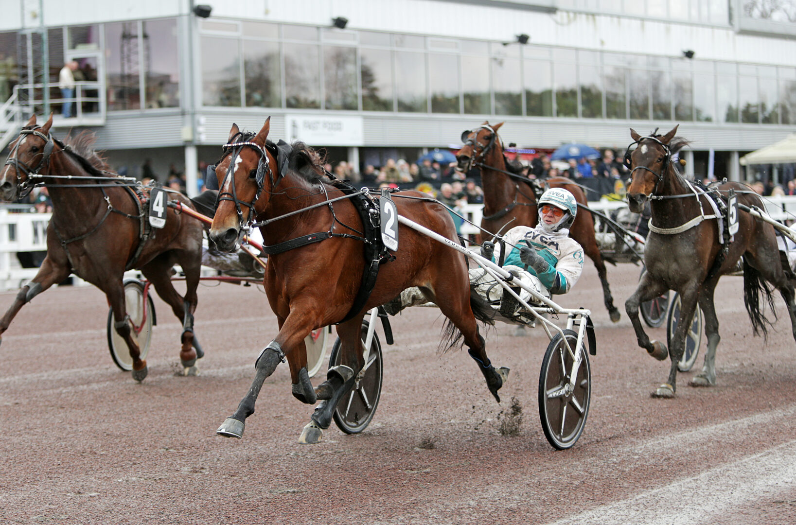 Bild “V85®: Redéns stjärnor mot Elitloppet?”