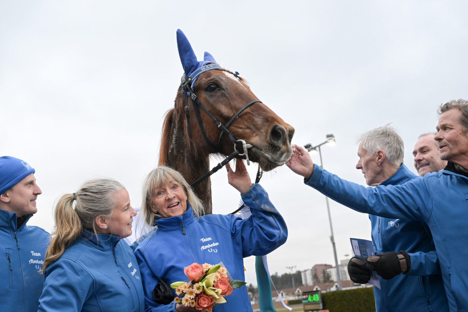 Inför V85® (superjackpot): Sportcheferna rycker i Elisabeths hästar