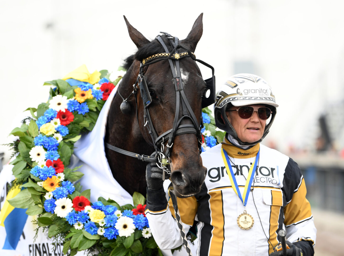 Bild “Inför V85® (jackpot): Sista säsongen för Önas Prince – ”Är supernöjd””