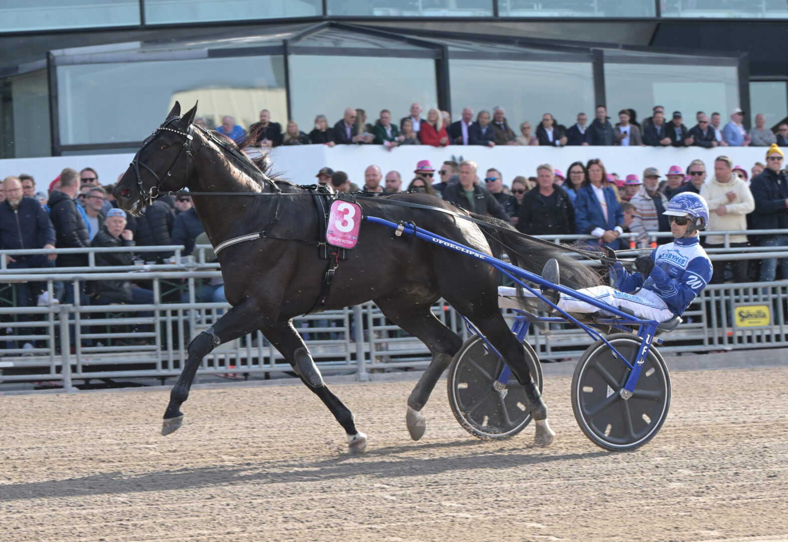 Inför V86®: Skor och vanlig vagn på Borups Victory i genrepet – Vill ha maximal effekt till Elitloppet