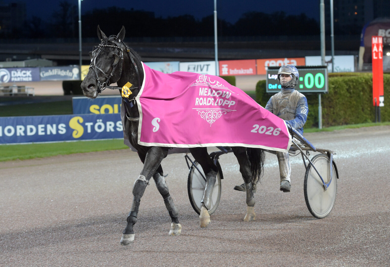 V86®: Borups Victory vann genrepet inför Elitloppet – Vi ligger helt rätt i fas