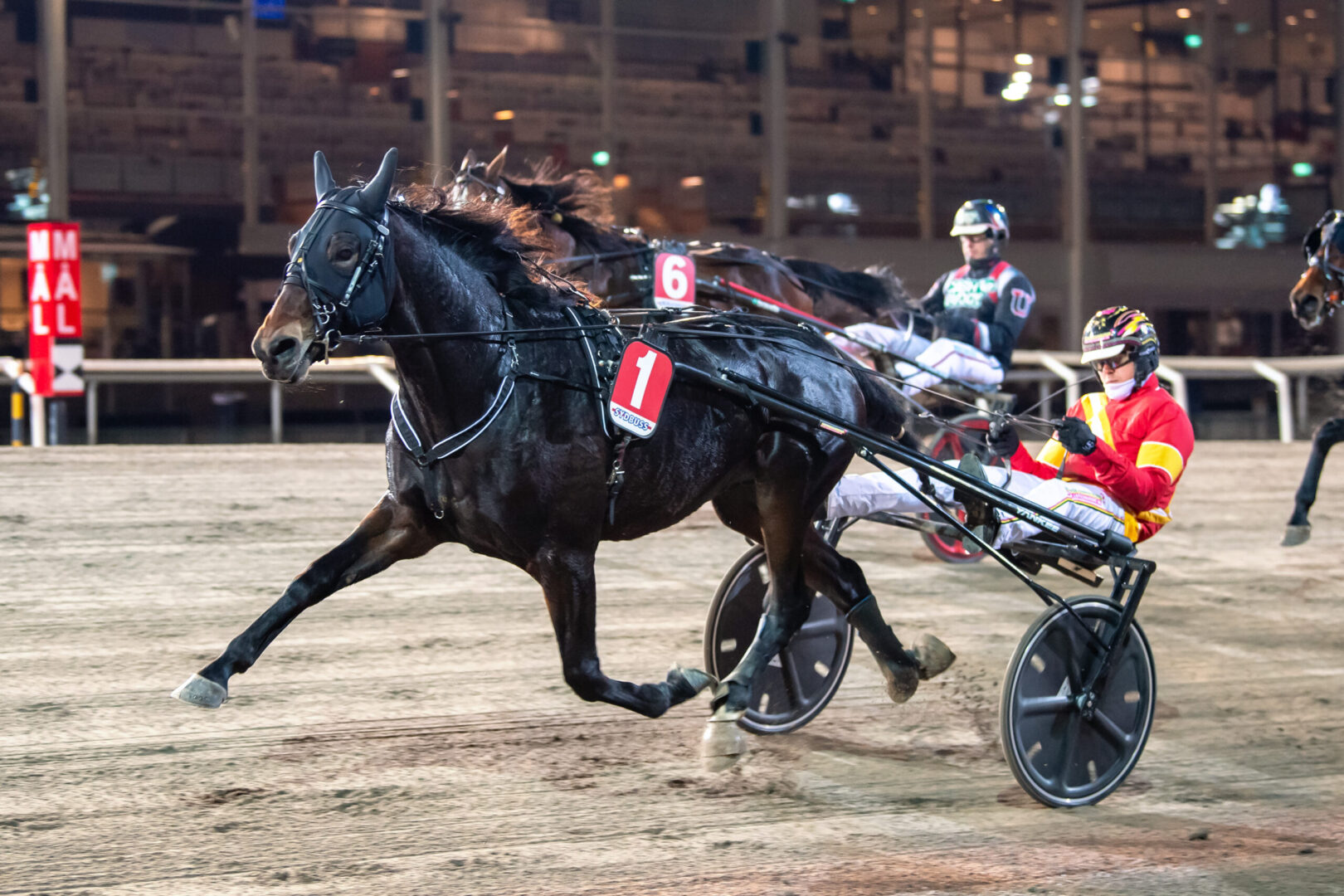Bild “Inför V86®: Talangen jagar plats i miljonloppet”