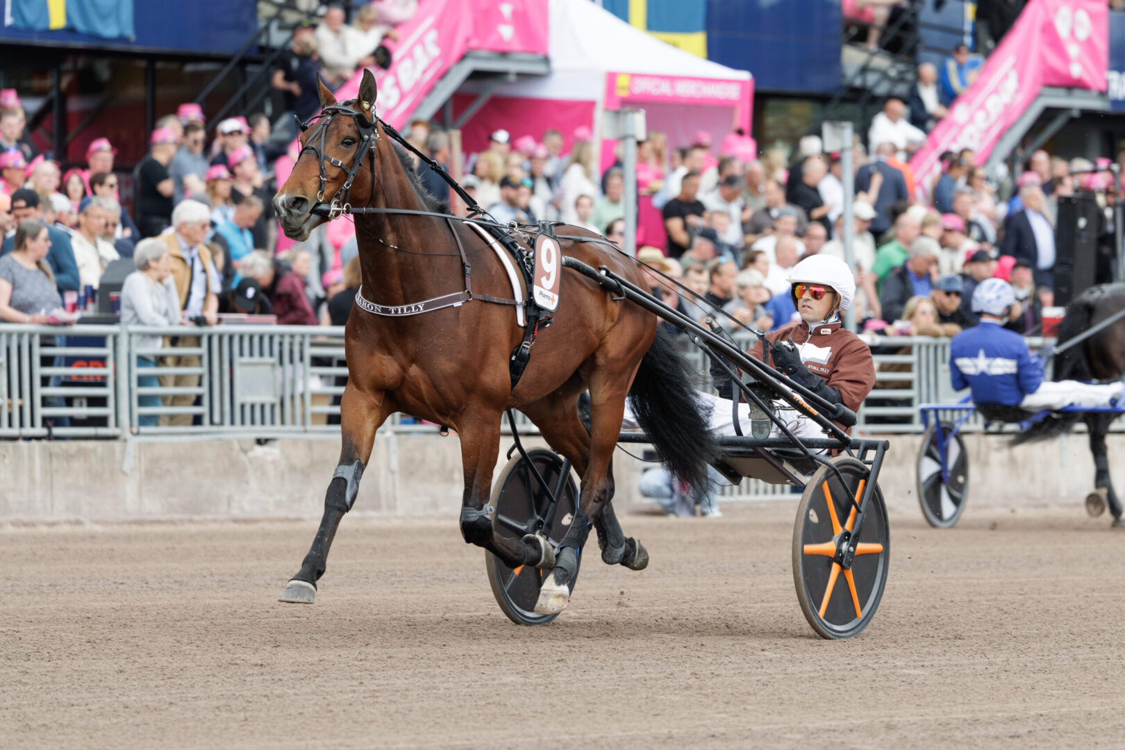 Inför V86®: Persson tror på Baron Tilly – men varnar för små minusfaktorer