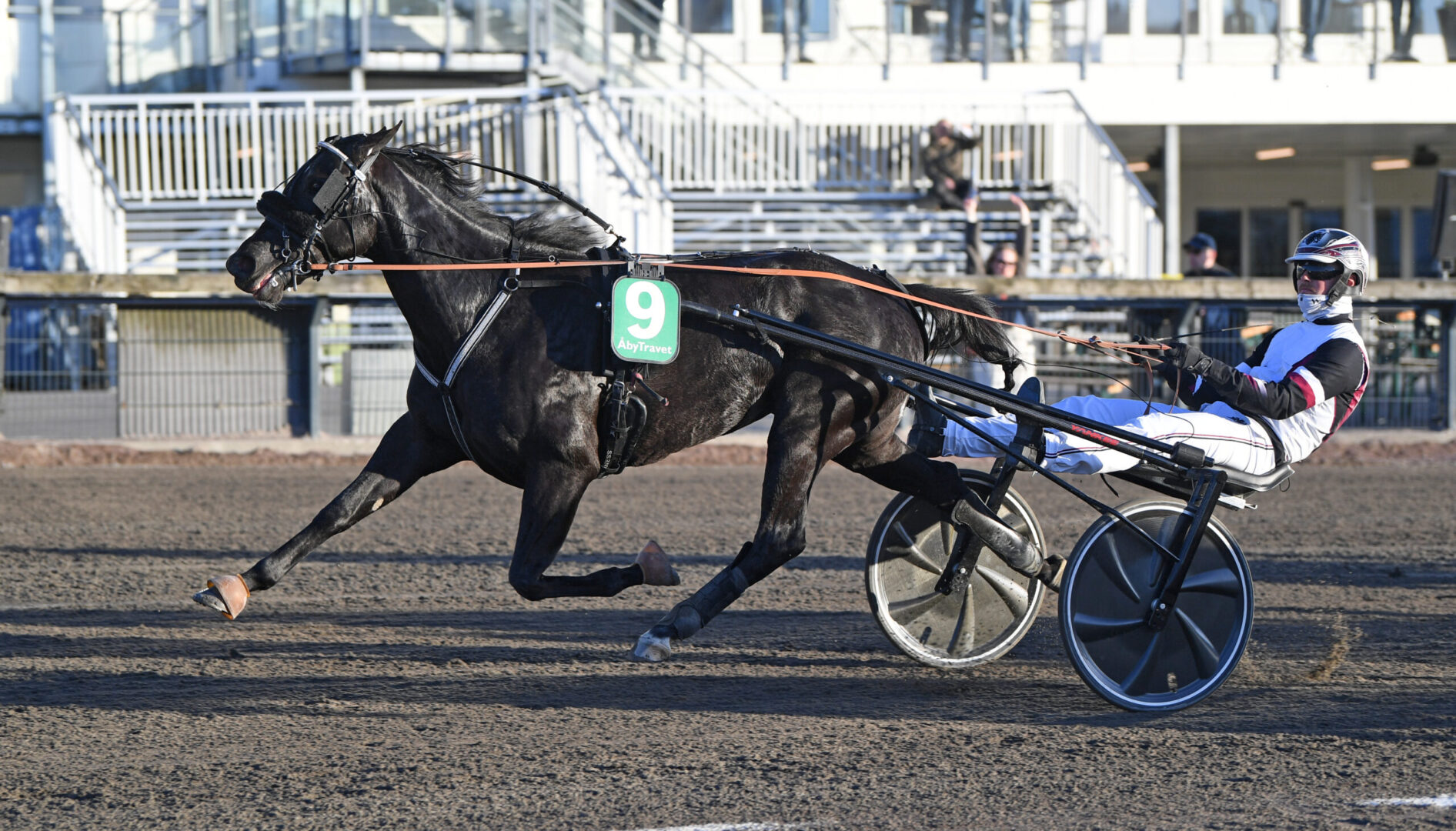 Milady Josselyn imponerade i kvalen till Stosprintern