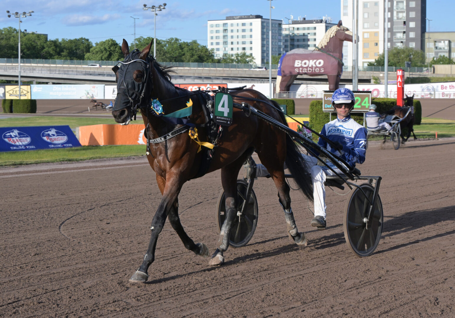 Inför V85® (jackpot): Efter topprestationen – nu ska hon vara ännu bättre